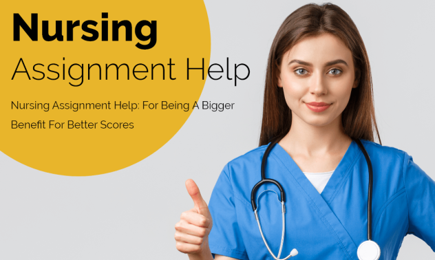 nursing assignment help in usa