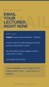 student emailing lecturer about misinterpreted essay prompt clarification university deadline